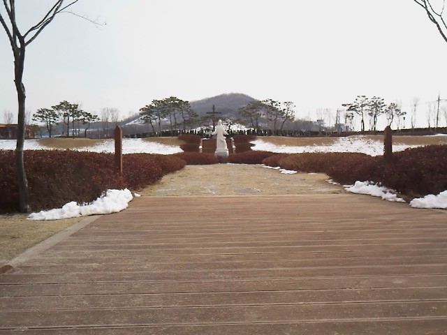 사진100215_000.jpg